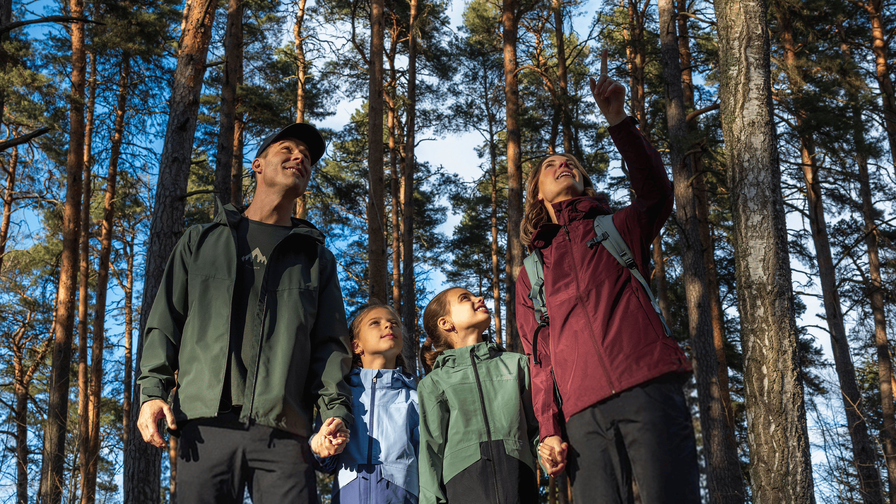 Family of four standing in a forest, looking up at the trees.